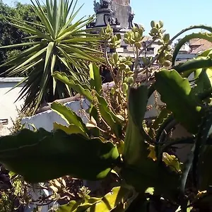 Apartamento Creative, Catania